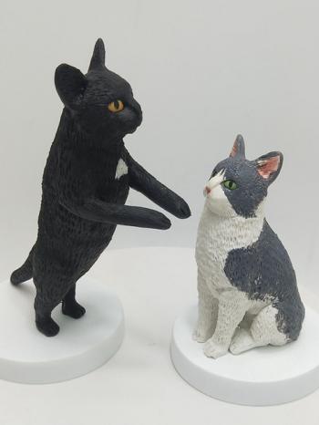 Bobblehead cats made from the pictures